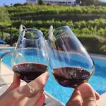 Quinta Da Casa Cimeira, Guest House, Wines & Food * 발렌카도두오로