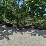Quinta Da Casa Cimeira, Guest House, Wines & Food *
