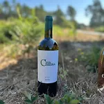 Quinta Da Casa Cimeira, Guest House, Wines & Food 발렌카도두오로