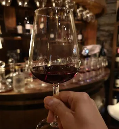 Quinta Da Casa Cimeira, Guest House, Wines & Food