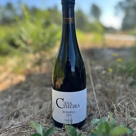 בית חווה Quinta Da Casa Cimeira, Guest House, Wines & Food Valença do Douro