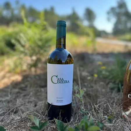 Quinta Da Casa Cimeira, Guest House, Wines & Food Valença do Douro