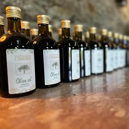 Quinta Da Casa Cimeira - Douro Wine State, A House Of Wine, Food & Memories Valença do Douro