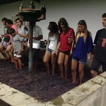 Quinta Da Casa Cimeira, Guest House, Wines & Food * Valença do Douro