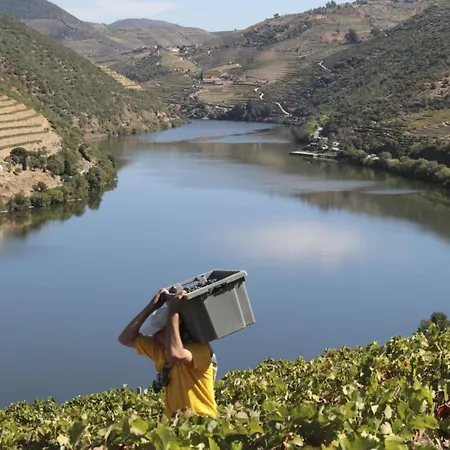 Farmház Quinta Da Casa Cimeira, Guest House, Wines & Food Valença do Douro