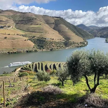Quinta Da Casa Cimeira - Douro Wine State, A House Od Wine, Food & Memories *