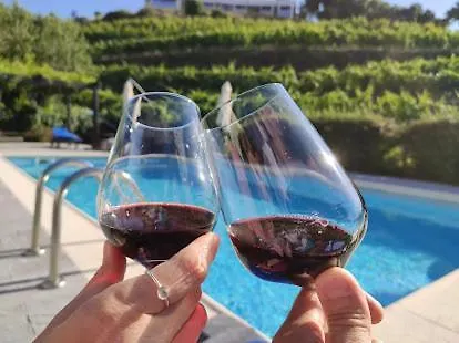 Quinta Da Casa Cimeira, Guest House, Wines & Food * Валенса-ду-Дору