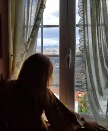 Feriegård Quinta Da Casa Cimeira, Guest House, Wines & Food Valença do Douro