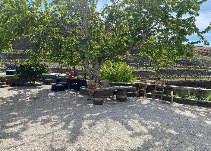 Quinta Da Casa Cimeira, Guest House, Wines & Food Farm stay *