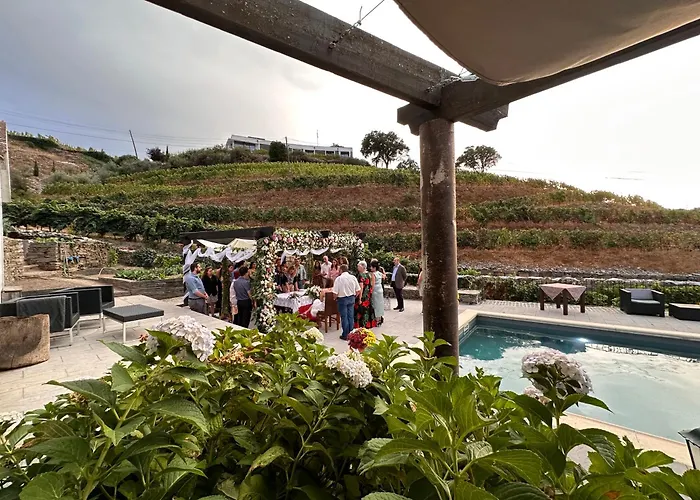 Bauernhof Quinta Da Casa Cimeira, Guest House, Wines & Food *