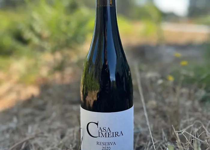 Feriegård Quinta Da Casa Cimeira, Guest House, Wines & Food Valença do Douro