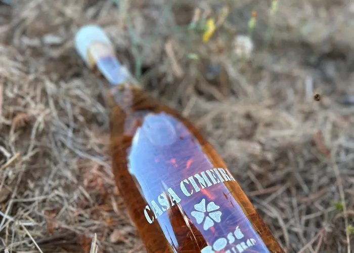 Quinta Da Casa Cimeira, Guest House, Wines & Food *