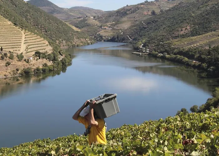 Feriegård Quinta Da Casa Cimeira, Guest House, Wines & Food Valença do Douro